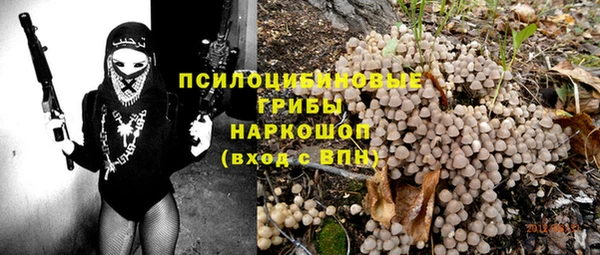 spice Нягань