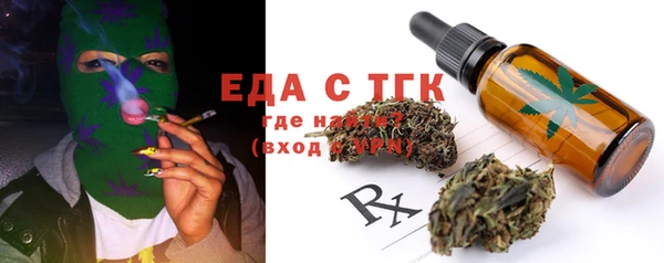 эйфоретик Няндома