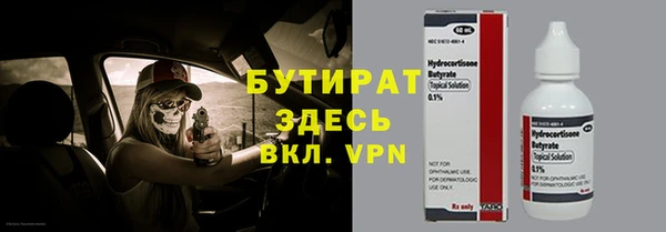 шишки Новозыбков