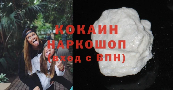 эйфоретик Няндома