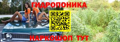 spice Волгодонск