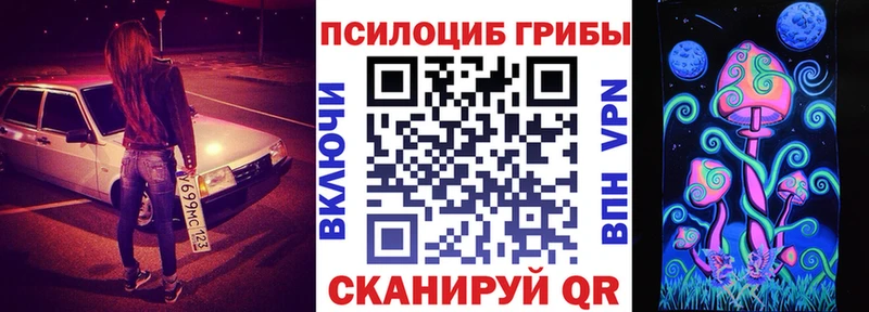 где продают   Старая Купавна  Псилоцибиновые грибы Psilocybine cubensis 