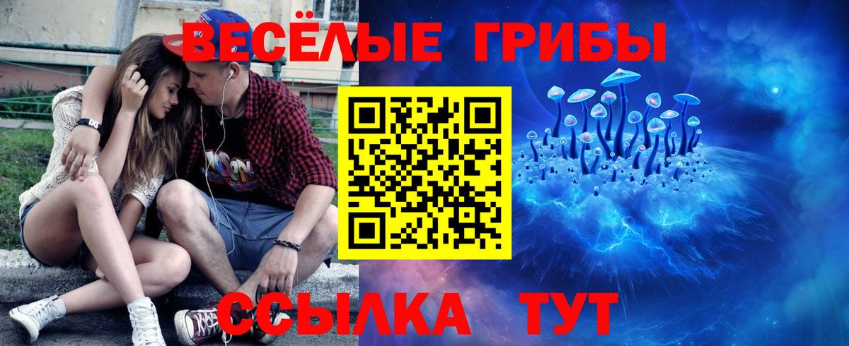 Псилоцибиновые грибы ЛСД Старая Купавна