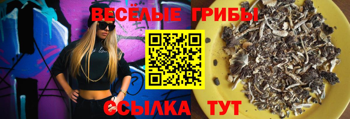 Старая Купавна  Псилоцибиновые грибы MAGIC MUSHROOMS  Вход с VPN 